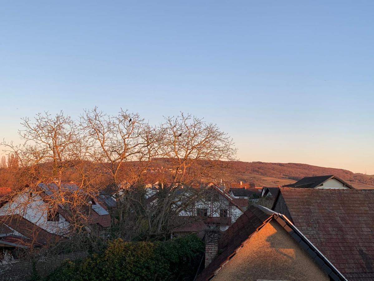 Ferienwohnung Baselblick, Eimeldingen Zewnętrze zdjęcie
